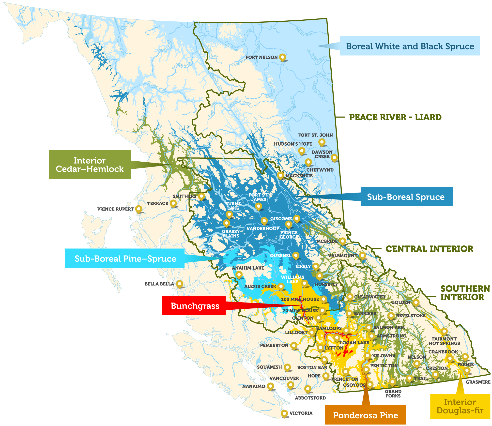 British Columbia – Forage U-Pick